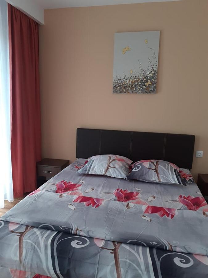 Casa Roxana Leilighet Slatina  Eksteriør bilde