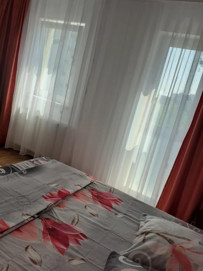 Casa Roxana Leilighet Slatina  Eksteriør bilde