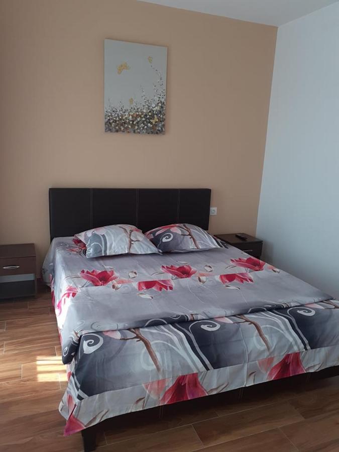 Casa Roxana Leilighet Slatina  Eksteriør bilde